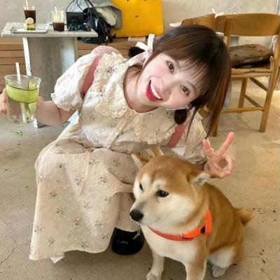 贫民百万总统